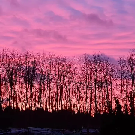 Lejlighed Ollywood, Pur Im Westerwald, 2 Bis 4 Personen