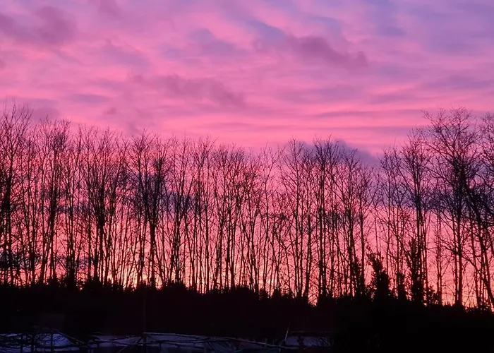 Lägenhet Ollywood, Pur Im Westerwald, 2 Bis 4 Personen