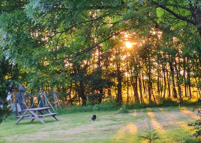 Ollywood, Pur Im Westerwald, 2 Bis 4 Personen Lägenhet *