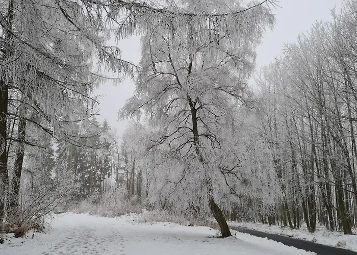 Ollywood, Pur Im Westerwald, 2 Bis 4 Personen