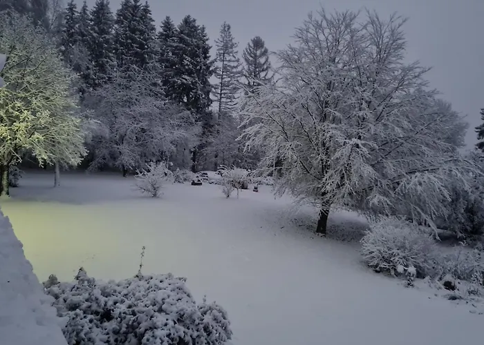Lägenhet Ollywood, Pur Im Westerwald, 2 Bis 4 Personen Halbs